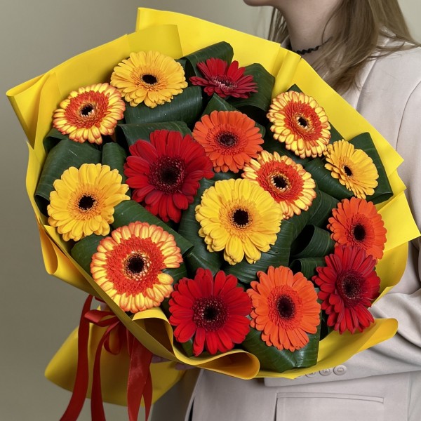 15 гербер микс с аспидистрой