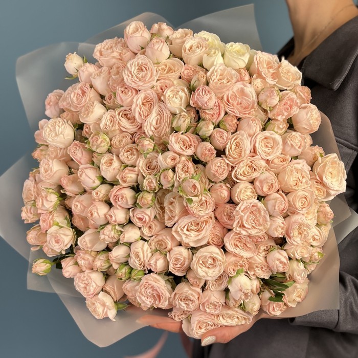 51 кустовая пионовидная Роза Бомбастик 60 см