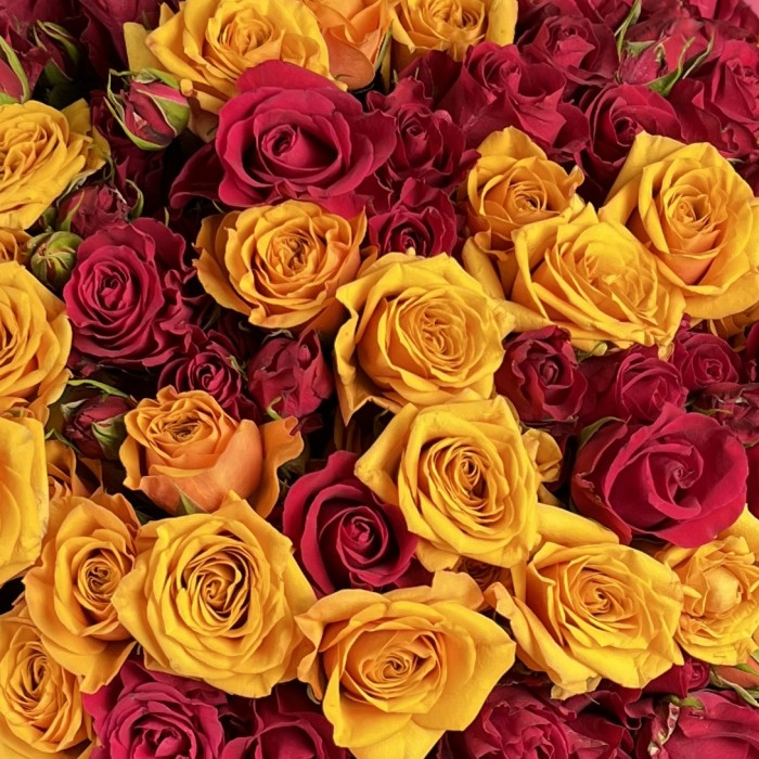 19 кустовых пионовидных роз микс 60 см