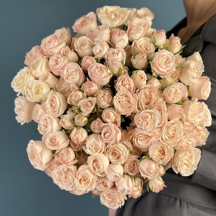 Кустовая пионовидная роза Бомбастик 60 см