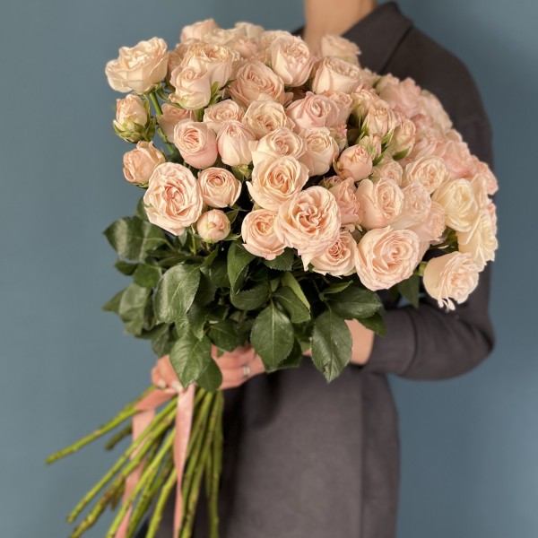 Кустовая пионовидная роза Бомбастик 60 см