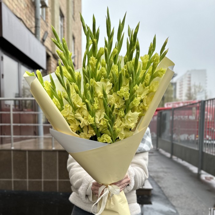 27 зеленых гладиолусов