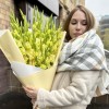 27 зеленых гладиолусов