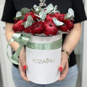 19 красных ранункулюсов в коробке