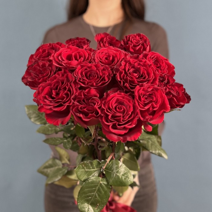 17 красных пионовидных роз Хартс 70 см