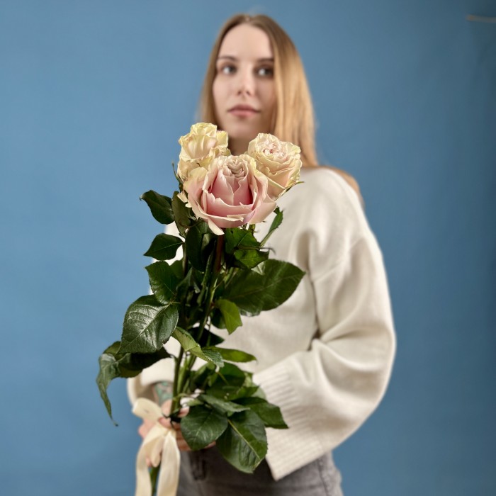 3 розы Пинк Мондиаль 70 см