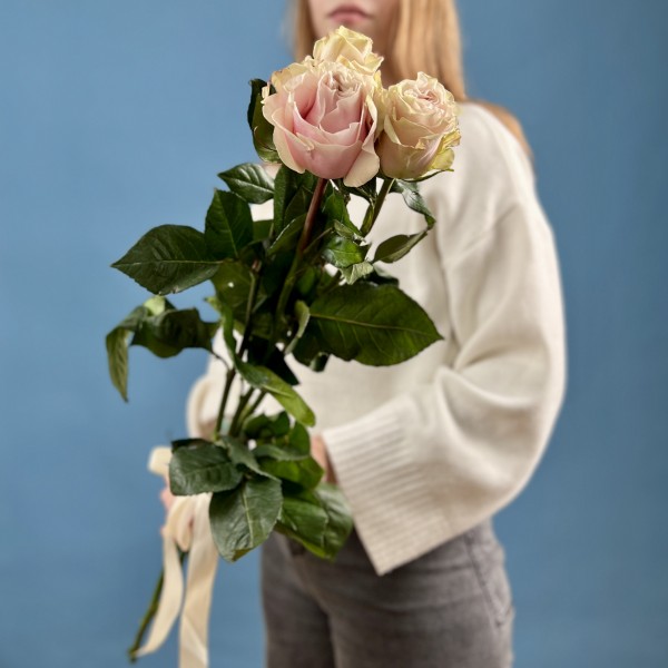 3 розы Пинк Мондиаль 70 см