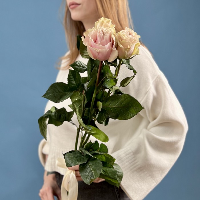 3 розы Пинк Мондиаль 70 см