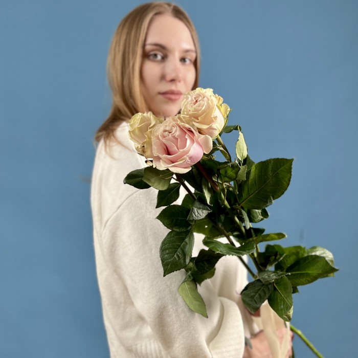 3 розы Пинк Мондиаль 70 см