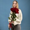 5 красных пионовидных роз Хартс 70 см