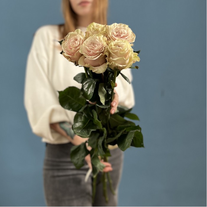 5 высоких роз Пинк Мондиаль 70 см