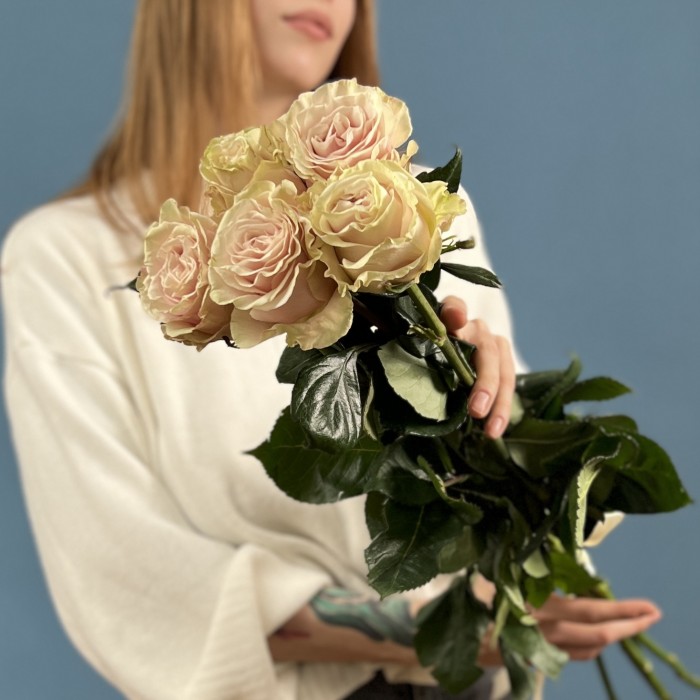 5 высоких роз Пинк Мондиаль 70 см