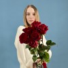 7 красных пионовидных роз Хартс 70 см