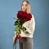 7 красных пионовидных роз Хартс 70 см
