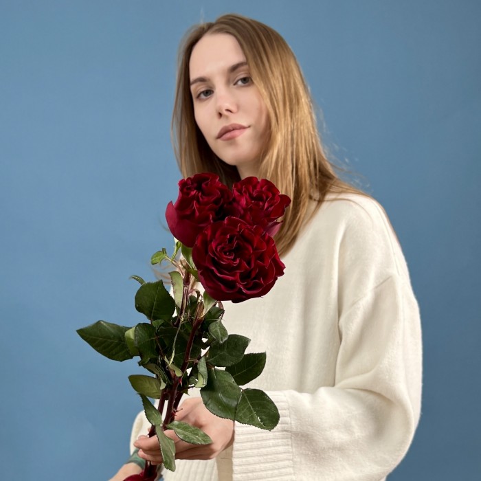 3 красные пионовидные розы Хартс 70 см