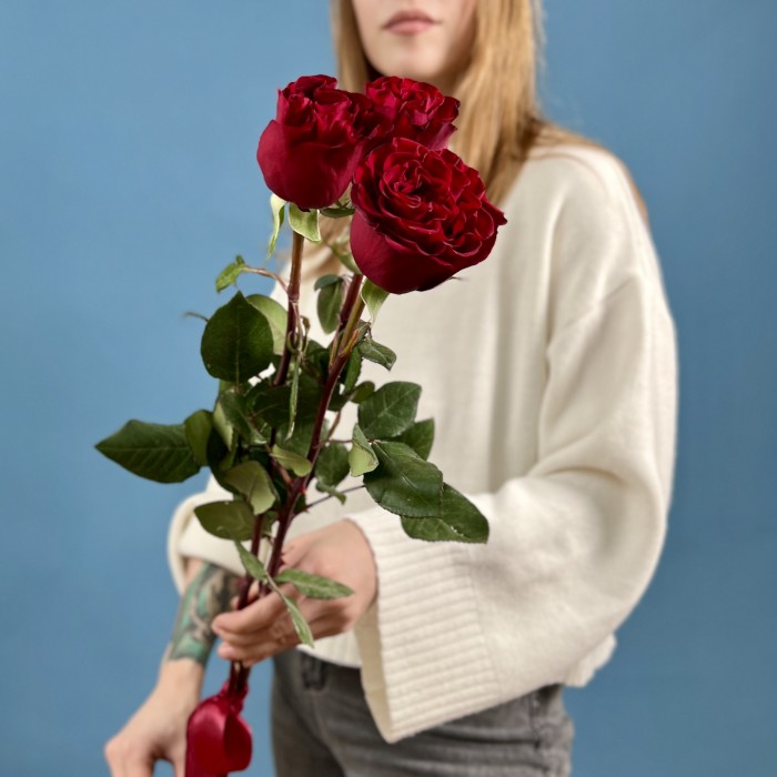 3 красные пионовидные розы Хартс 70 см