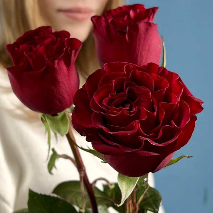 3 красные пионовидные розы Хартс 70 см