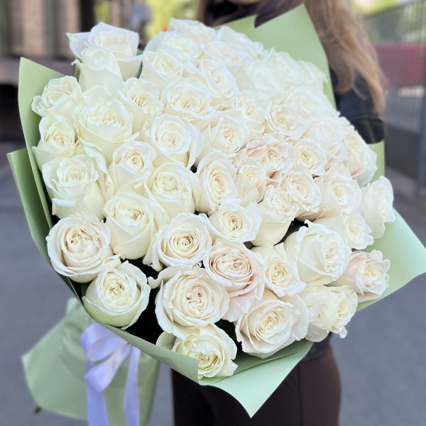 51 белая роза Проуд 60 см