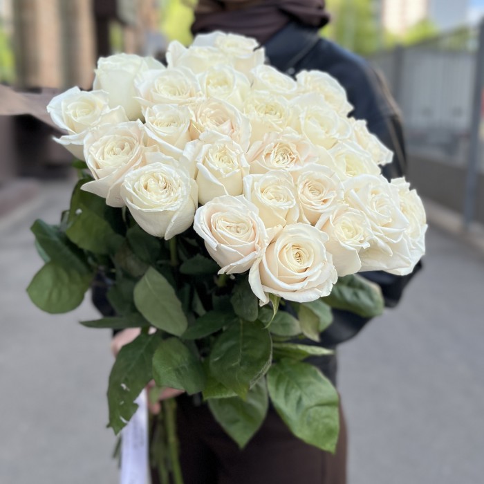 Белая Роза Проуд 60 см