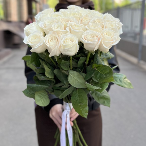 Белая Роза Проуд 60 см