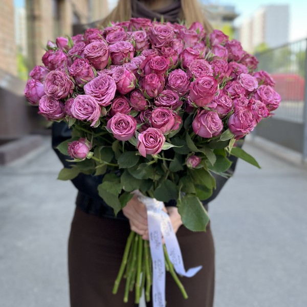 Кустовая пионовидная роза Пурпл Куин высотой 60 см