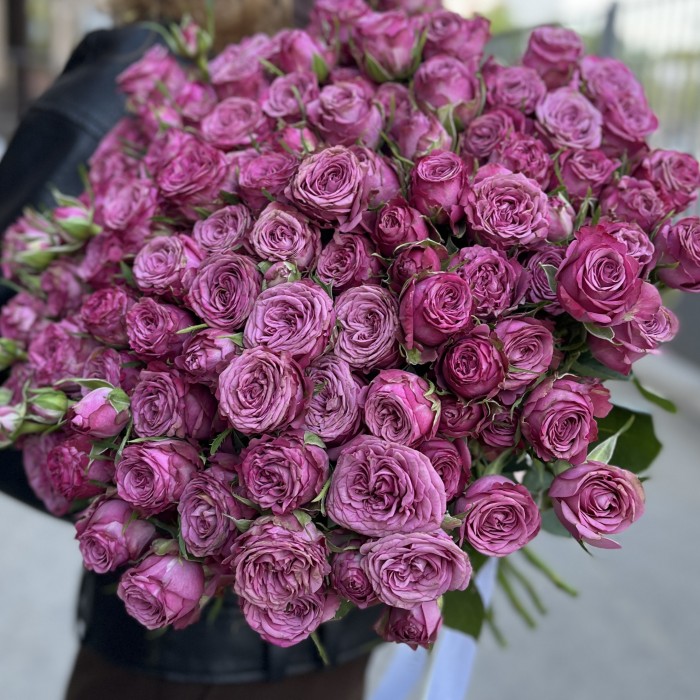 Кустовая пионовидная роза Пурпл Куин высотой 60 см