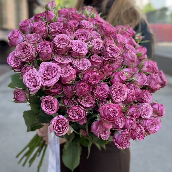 Кустовая пионовидная роза Пурпл Куин высотой 60 см