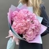 5 нежно-розовых гортензий