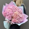 9 нежно-розовых гортензий