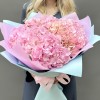 9 нежно-розовых гортензий