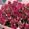 25 малиновых кустовых роз Шайенн 50 см