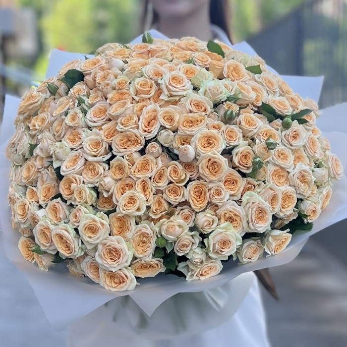 101 кремовая кустовая роза Тринити 40 см