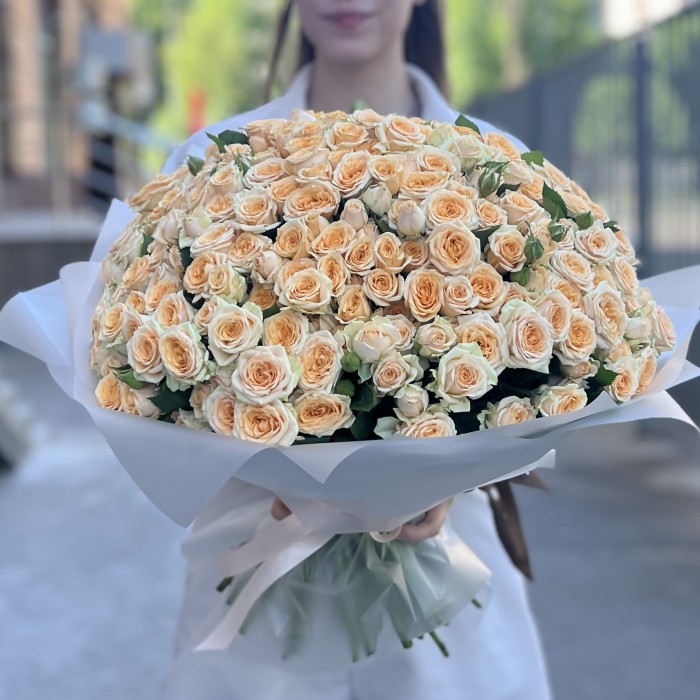 101 кремовая кустовая роза Тринити 40 см