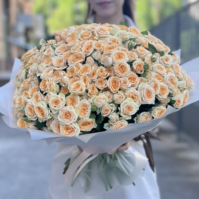 101 кремовая кустовая роза Тринити 50 см