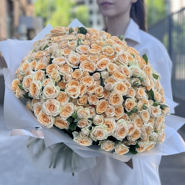 101 кремовая кустовая роза Тринити 40 см