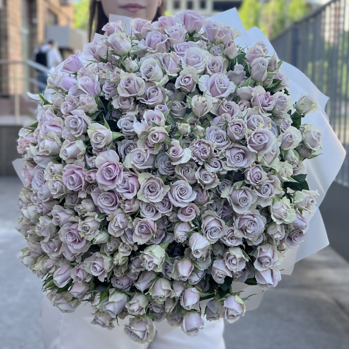 101 сиреневая кустовая роза Сильвер Шедоу 50 см