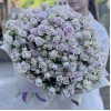 101 сиреневая кустовая роза Сильвер Шедоу 40 см
