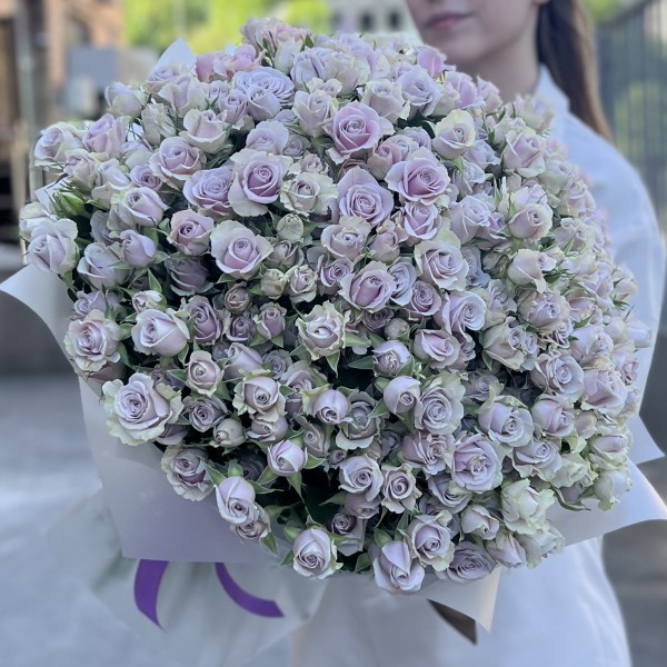 101 сиреневая кустовая роза Сильвер Шедоу 50 см