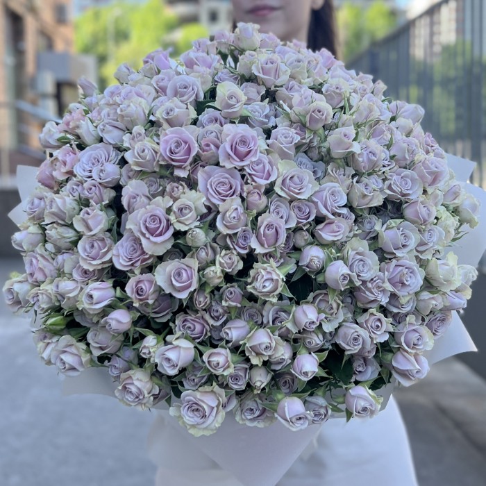 101 сиреневая кустовая роза Сильвер Шедоу 50 см