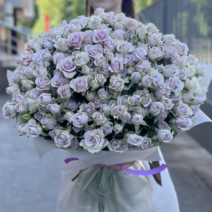 51 сиреневая кустовая роза Сильвер Шедоу 50 см