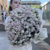 51 сиреневая кустовая роза Сильвер Шедоу 40 см