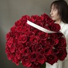 Премиум букет из 51 бордовой розы