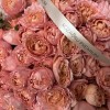 Премиум букет из 51 кустовой пионовидной розы Джульетта