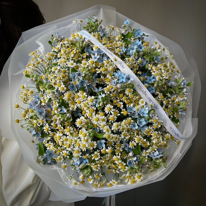 Премиум букет с ромашками и оксипеталумом