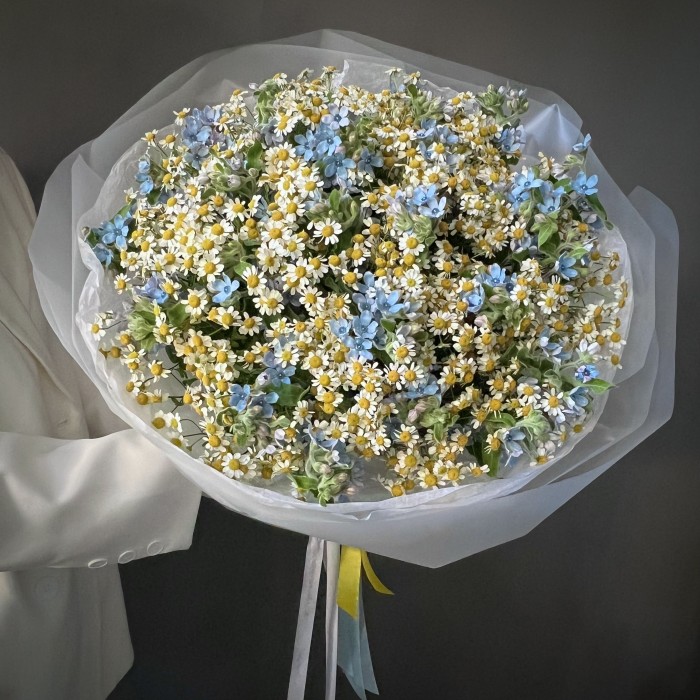 Премиум букет с ромашками и оксипеталумом