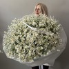 Премиум букет Облако ромашек