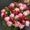 Премиум букет из 37 розовых и бордовых пионов