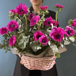 15 малиновых анемонов в розовой корзине