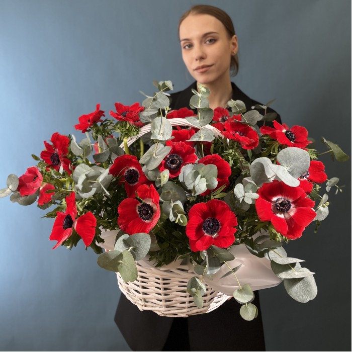 25 красных анемонов в корзине