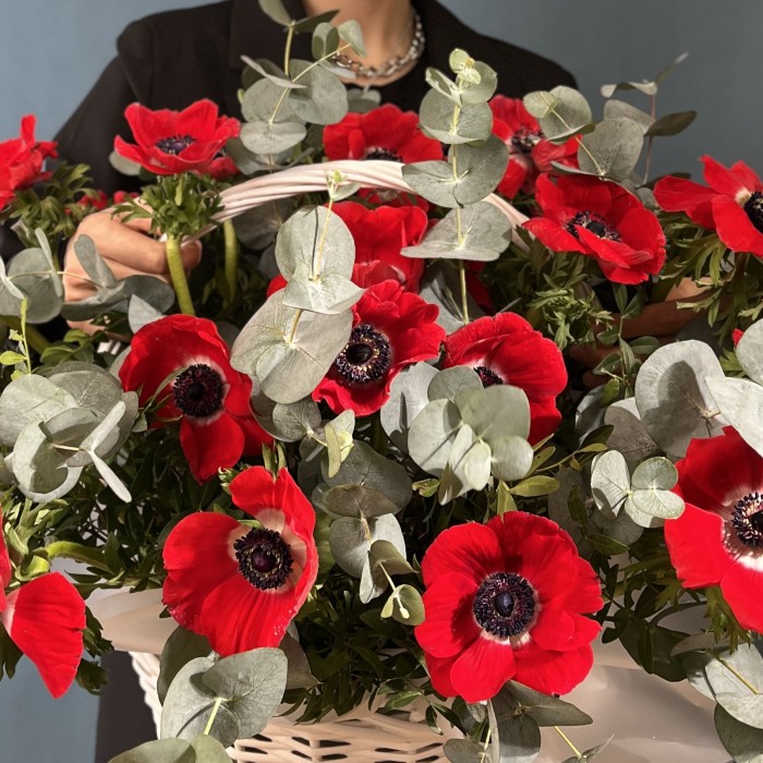 25 красных анемонов в корзине